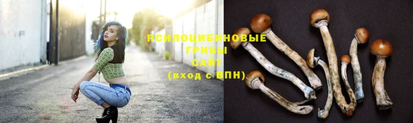 спиды Абинск