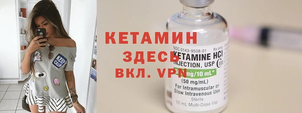 индика Каменногорск