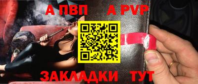 СК Новодвинск