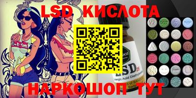 СК Новодвинск