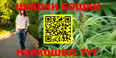 СК Новодвинск