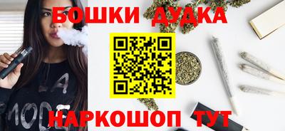 СК Новодвинск