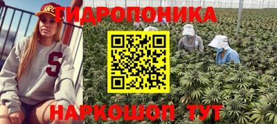 метадон Новокубанск