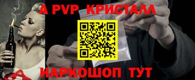 СК Новодвинск