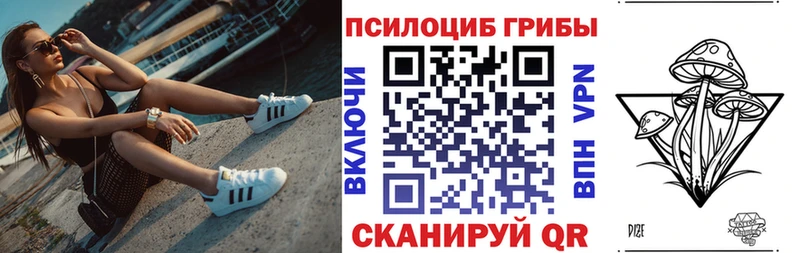 где купить наркотик  Фурманов  Галлюциногенные грибы MAGIC MUSHROOMS 