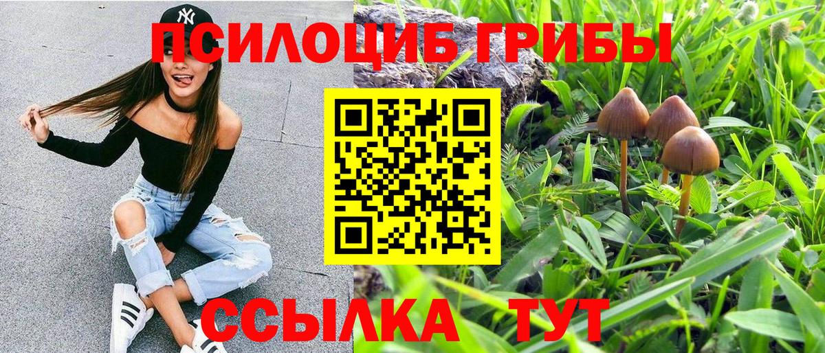 Галлюциногенные грибы MAGIC MUSHROOMS Фурманов