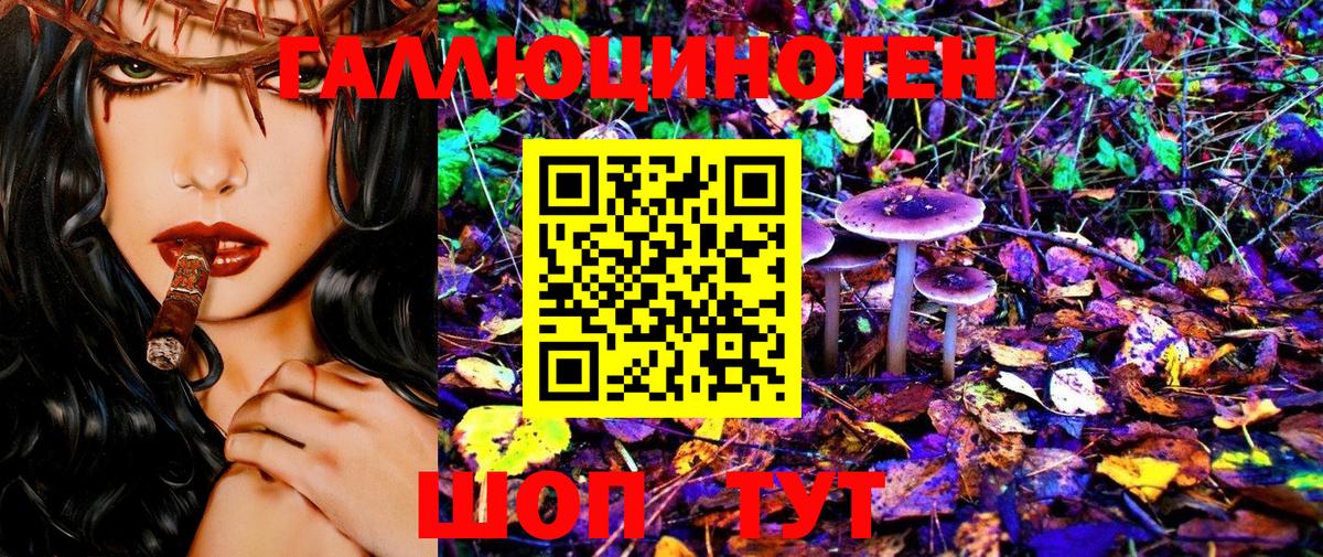 Фурманов  Псилоцибиновые грибы MAGIC MUSHROOMS  Вход с VPN 